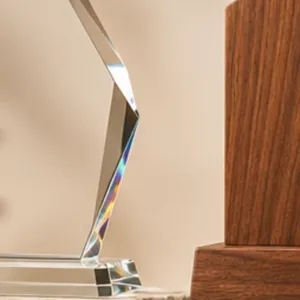Awards & Mementos — illustrative concept